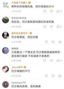 网图